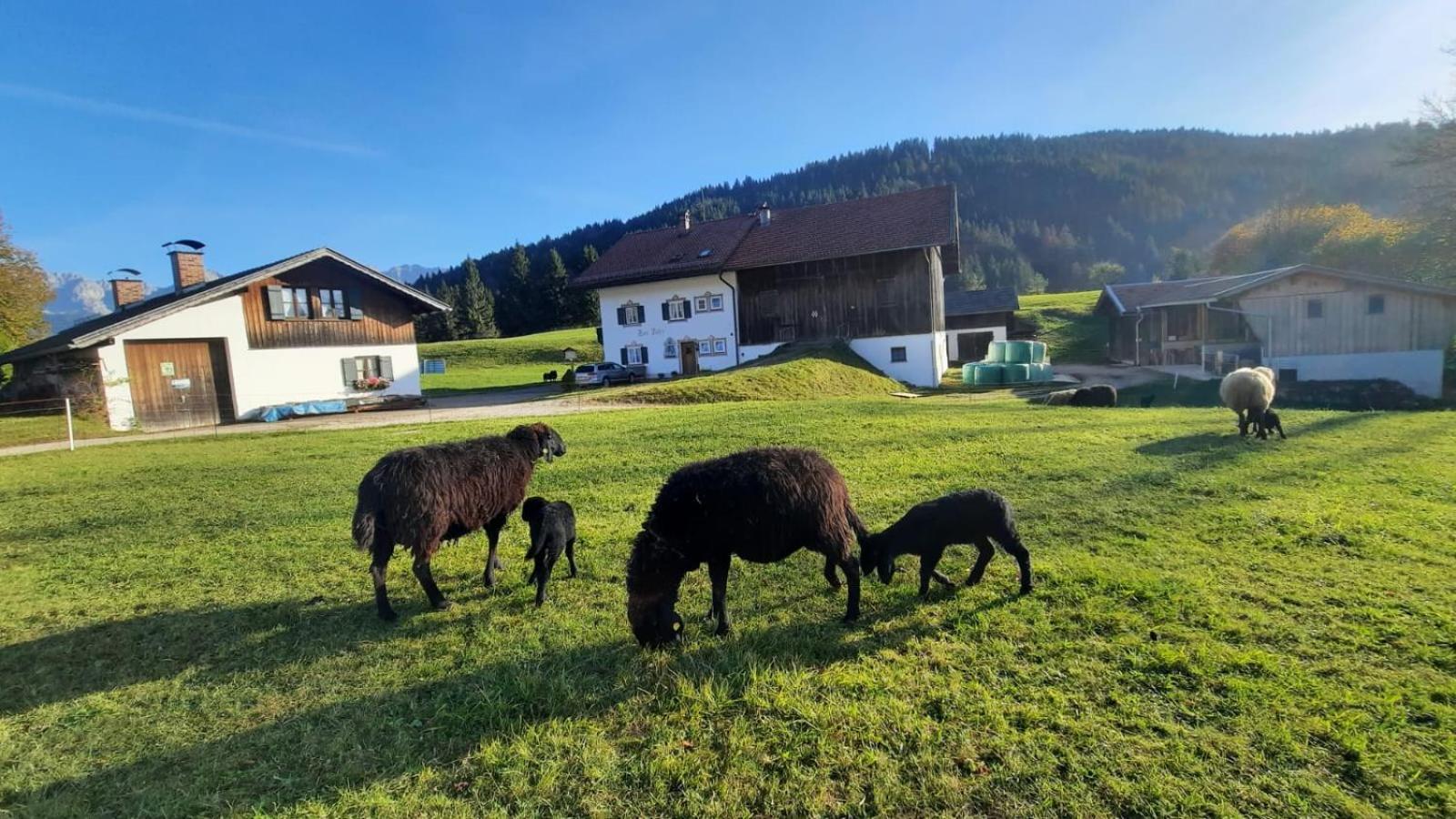 Bauernhaus Jocher Krün Exterior foto